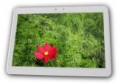 Shassim Tablet PC Android 4.1 with Dual Core A9 1.2g B716 649.95